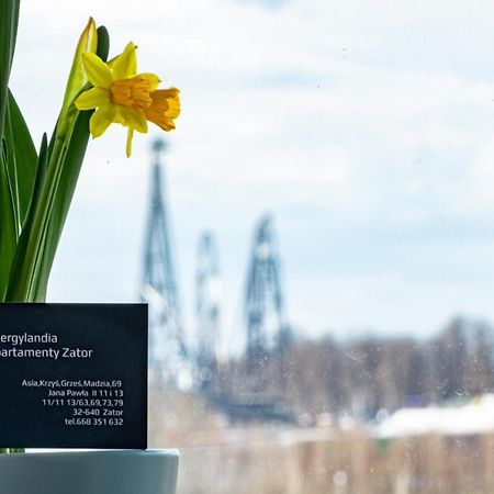 Energylandia Zator Apartament Grzes Exteriör bild